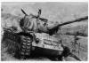 Dagwood D10 Tank